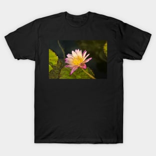 Full bloom T-Shirt